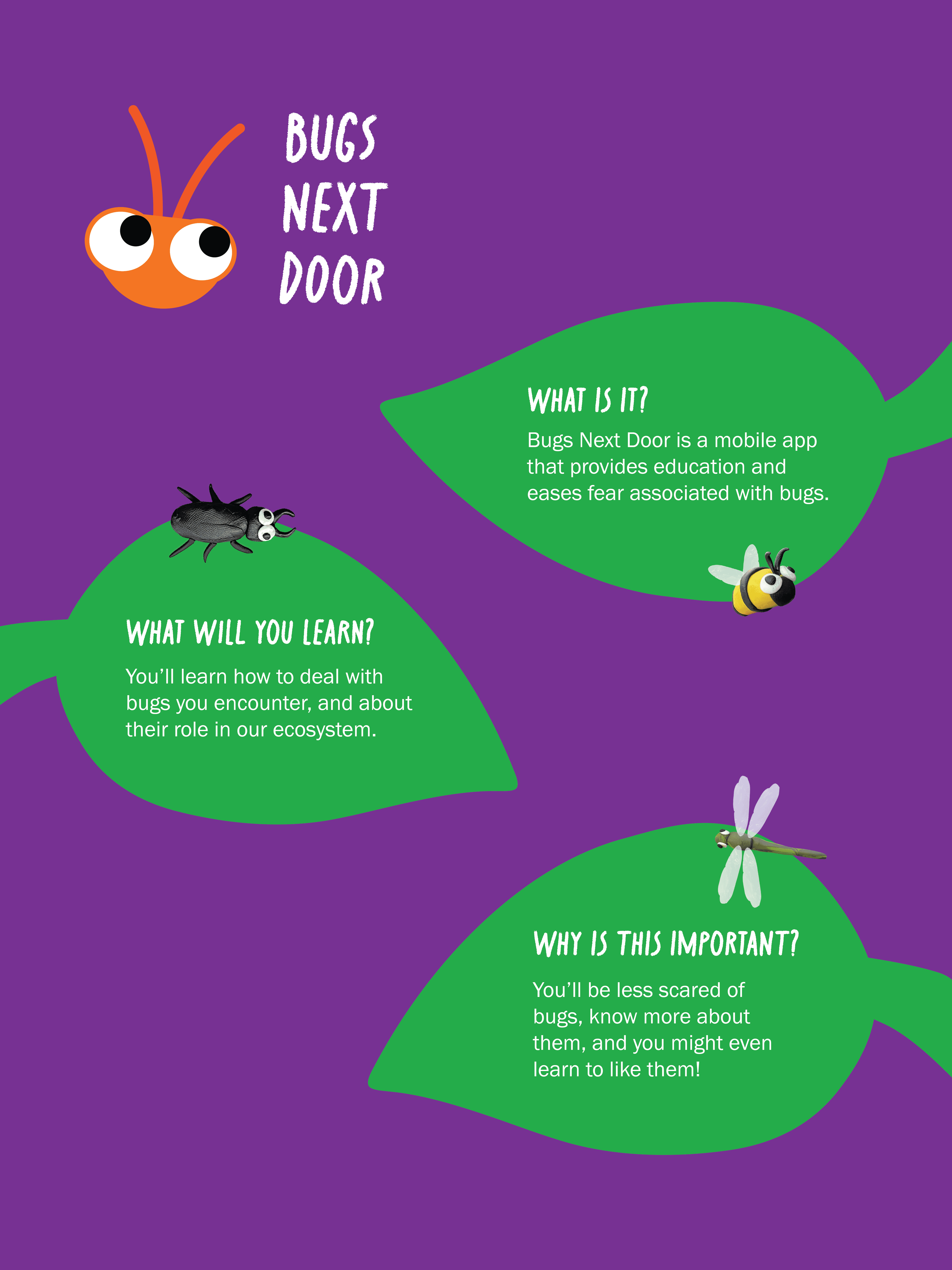 Bugs Next Door exhibition poster